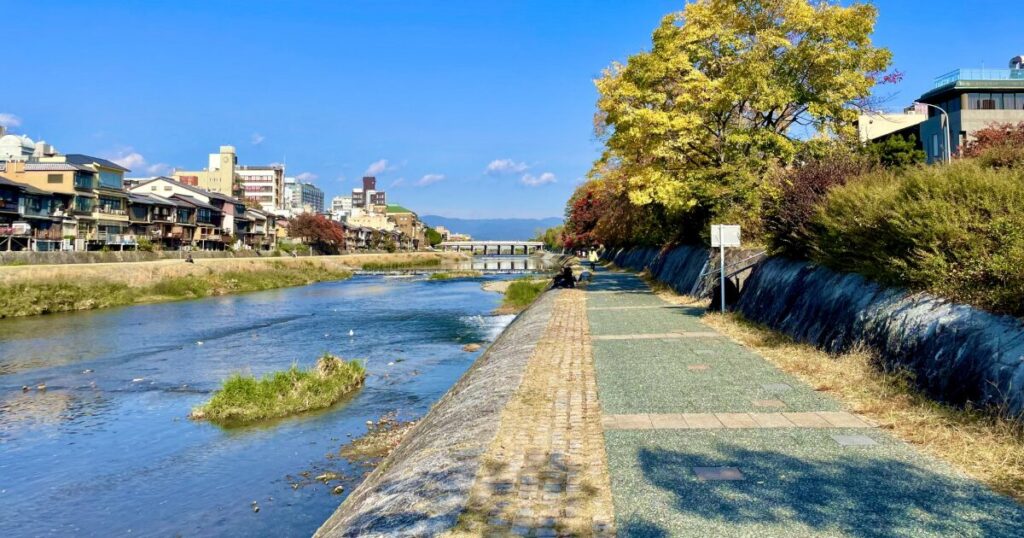 鴨川沿いの遊歩道と穏やかな川の流れの風景