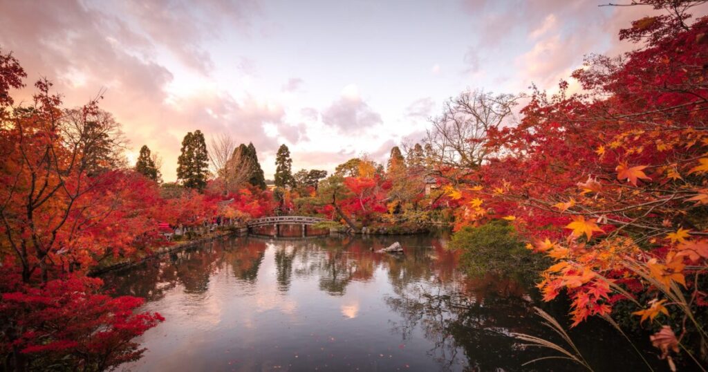 紅葉に染まる永観堂の庭園と池に映る秋景色